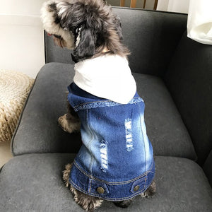 French Bulldog Hooded Denim Jacket