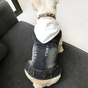 French Bulldog Hooded Denim Jacket