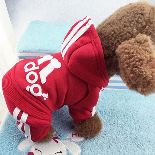 Adidas Hoodie